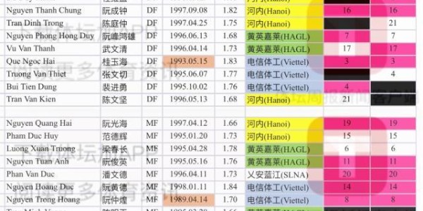 开云体育-越南队调整集训名单 邓文林接受手术补充征召门将